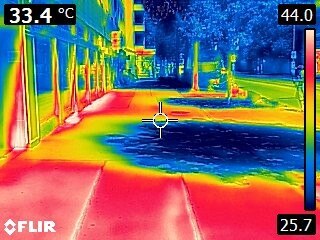 Mit Thermalaufnahme kann gezeigt werden, dass Asphaltoberflächen im Bereich des Schattenwurfs von Bäumen um über 10° C kühler sind. © Jürgen Preiss