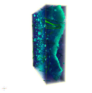 Die Visualisierung desselben Risses im CT-Bild. © Fraunhofer ITWM