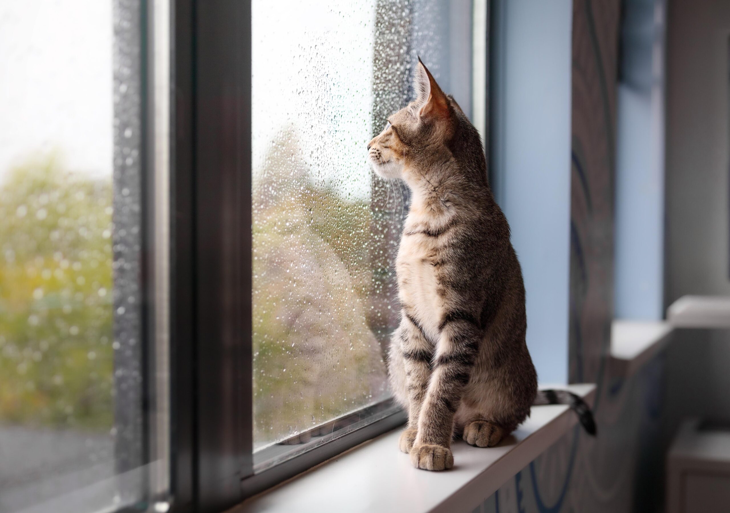 Trübe Aussichten prägen die österreichische Fensterbranche auch im Jahr 2024. Foto: iStock / Getty Images Plus / Petra Richli